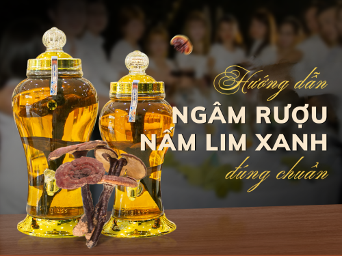 Cách ngâm rượu nấm Lim Xanh đúng chuẩn để giữ trọn dược chất